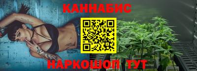 индика Можайск