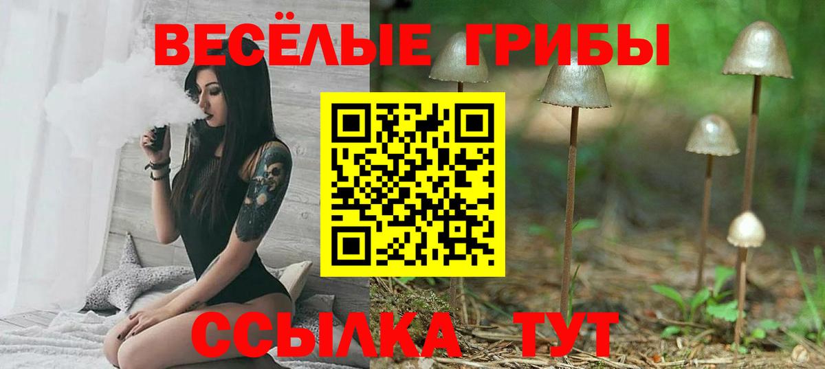 Галлюциногенные грибы Psilocybine cubensis Тихвин